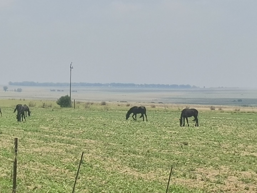 Commercial Property for Sale in Senekal Rural Free State